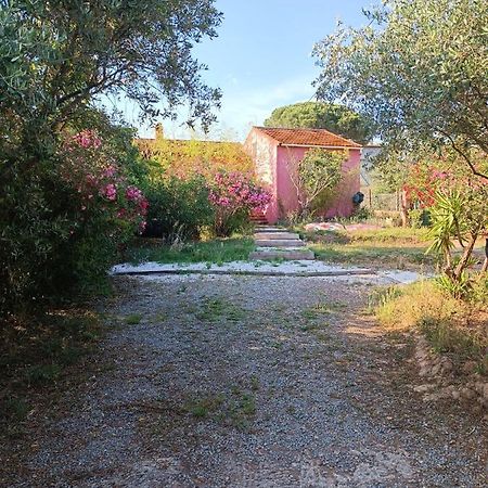 Maison De Vacances, Proche De La Plage Frejus Exterior photo