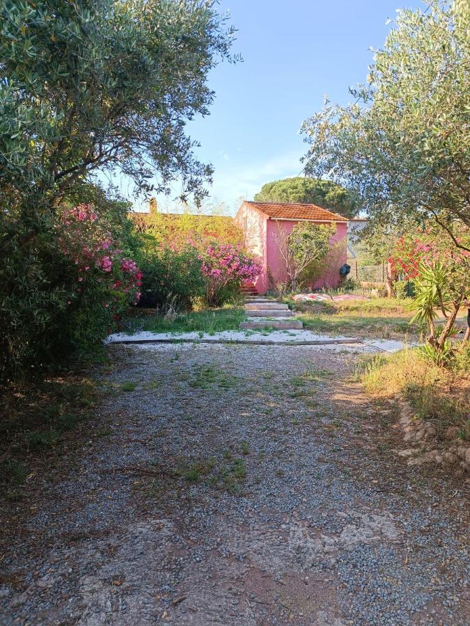 Maison De Vacances, Proche De La Plage Frejus Exterior photo